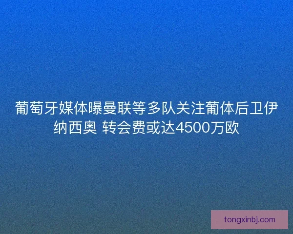 葡萄牙媒体曝曼联等多队关注葡体后卫伊纳西奥 转会费或达4500万欧