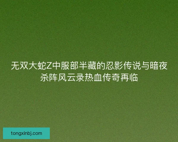 无双大蛇Z中服部半藏的忍影传说与暗夜杀阵风云录热血传奇再临