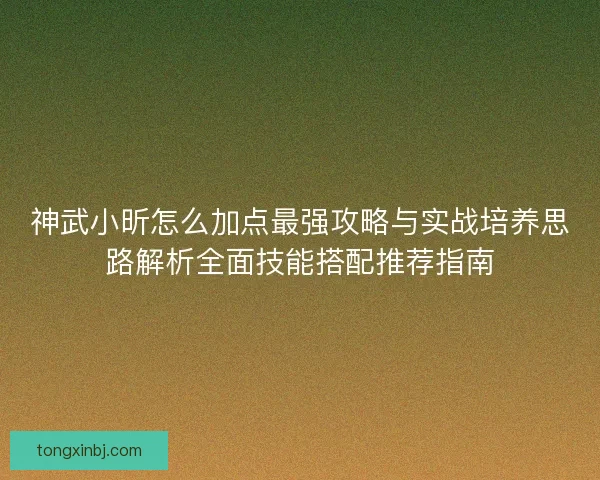 神武小昕怎么加点最强攻略与实战培养思路解析全面技能搭配推荐指南